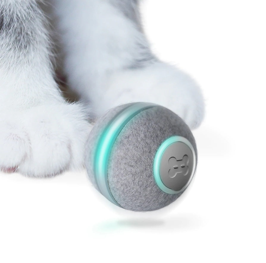 BOLA SMART MÁGICA PARA GATITOS